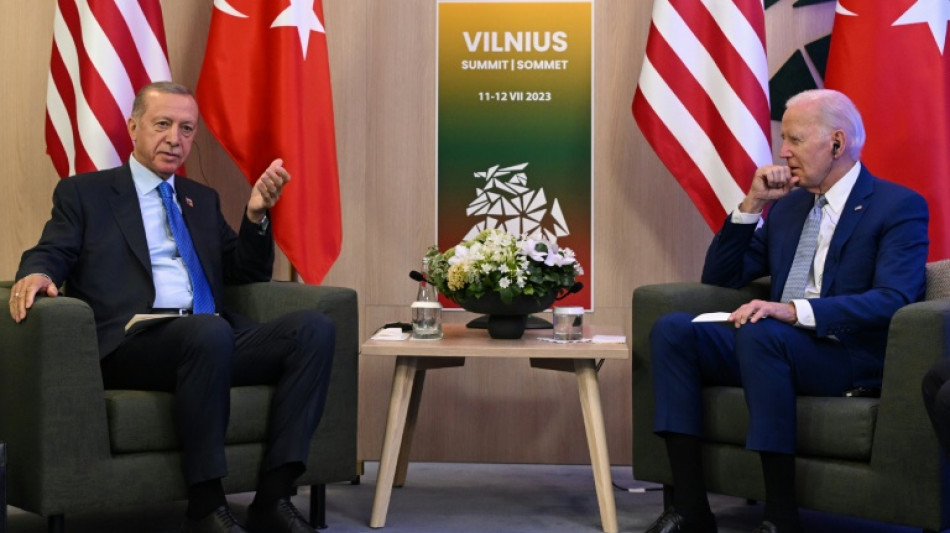 Turkey's Erdogan braces for tete-a-tete with Biden in May