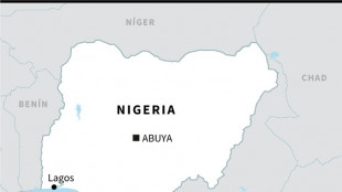 Yihadistas en Nigeria matan a 8 soldados en ataques tras la muerte de un l&iacute;der del EI