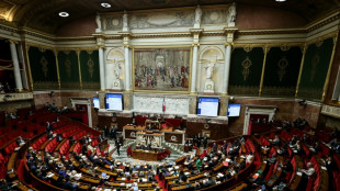 Budget: les députés écartent le gel du barème de l'impôt sur le revenu