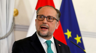 Ministro de Relaciones Exteriores de Austria ocupar&aacute; temporalmente el cargo de jefe de gobierno