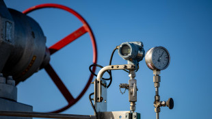 Il gas chiude in rialzo a 33,25 euro al Ttf di Amsterdam