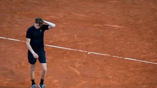 Sinner y Djokovic, cada uno por su lado en Roland Garros hasta la final