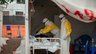 Casi 500 casos confirmados de &eacute;bola en &Aacute;frica Central, seg&uacute;n la OMS