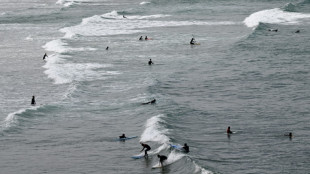 Una primera y simbólica "reserva de olas" creada en Francia