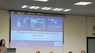 Federvini, con dazi e nuovi trend a rischio 2 miliardi
