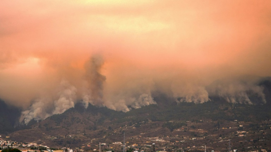 Feuerwehr k&auml;mpft weiter gegen Waldbrand auf Teneriffa