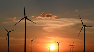 Verb&auml;nde: Klimaschutzgesetz st&auml;rken und nicht aush&ouml;hlen