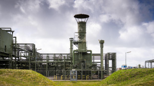 In due settimane di stoccaggi l'Ue &egrave; ancora sotto il 30%