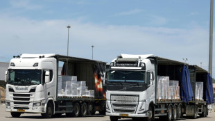 Israel: 93 Lastwagen mit UN-Hilfslieferungen erreichen Gazastreifen