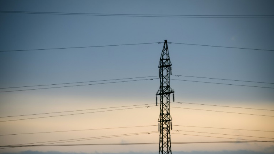 Los pa&iacute;ses b&aacute;lticos se desconectan de la red el&eacute;ctrica rusa para evitar "chantajes"