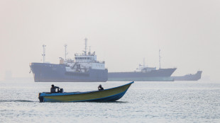 Media Teheran, 'tariffe all'Iran per passare a Hormuz sospese per 60 giorni'