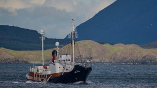 Iceland to resume whaling under stricter conditions