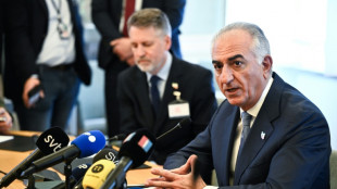 Schah-Sohn wird bei Berlin-Besuch nicht von Bundesregierung empfangen