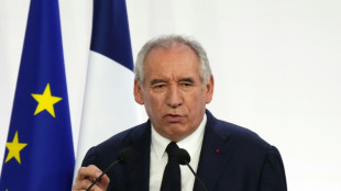 Frankreichs Premier Bayrou kündigt Vertrauensfrage an - Regierung könnte stürzen
