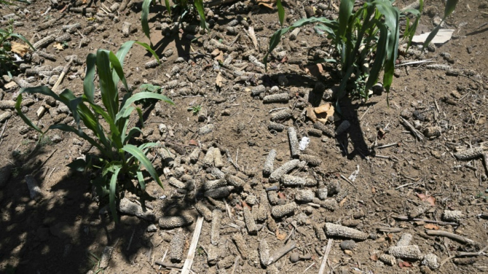 El miedo al hambre se apodera de una aldea guatemalteca ante la llegada de El Ni&ntilde;o