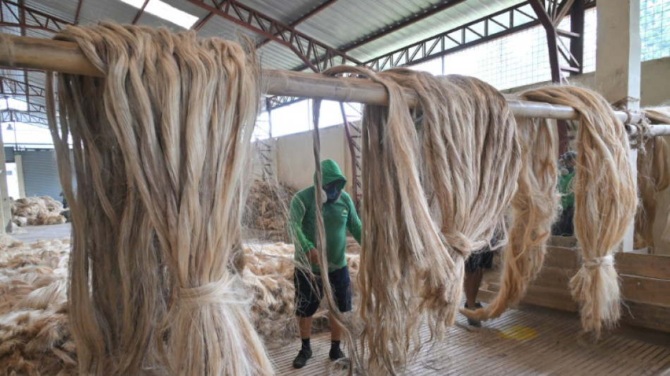Agr&iacute;cola japonesa se dice insolvente ante indeminzaciones por esclavitud en Ecuador