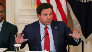 Floridas Gouverneur DeSantis legt Plan zum Neuzuschnitt der Wahlkreise vor