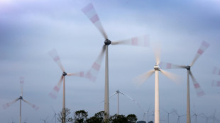 Bundesrat macht Weg für Paket von Energiegesetzen frei