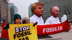 Greenpeace, 'l'Europa non sostituisca il gas di Putin con quello di Trump'