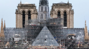L'"&eacute;clat" retrouv&eacute; de Notre-Dame d&eacute;voil&eacute; au monde
