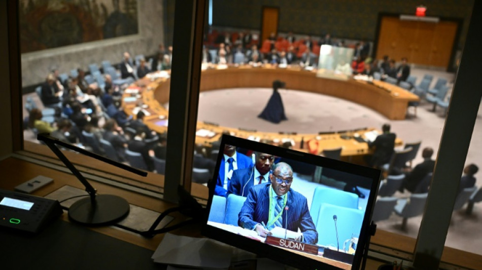 Rusia veta una resoluci&oacute;n en el Consejo de Seguridad sobre un alto el fuego en Sud&aacute;n