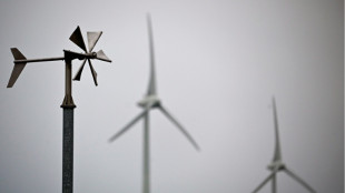 Germany could miss climate goal in 2026 for first time: think tank