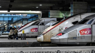 Gr&egrave;ve nationale &agrave; la SNCF le 6 juillet pour les salaires