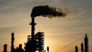 Verb&auml;nde: Klimakonferenz muss sich klar zu Abkehr von Fossilen bekennen