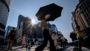 Japan faces lawsuit over 'unconstitutional' climate inaction