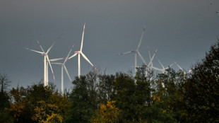 'Dark lull' in German energy transition sparks political debate