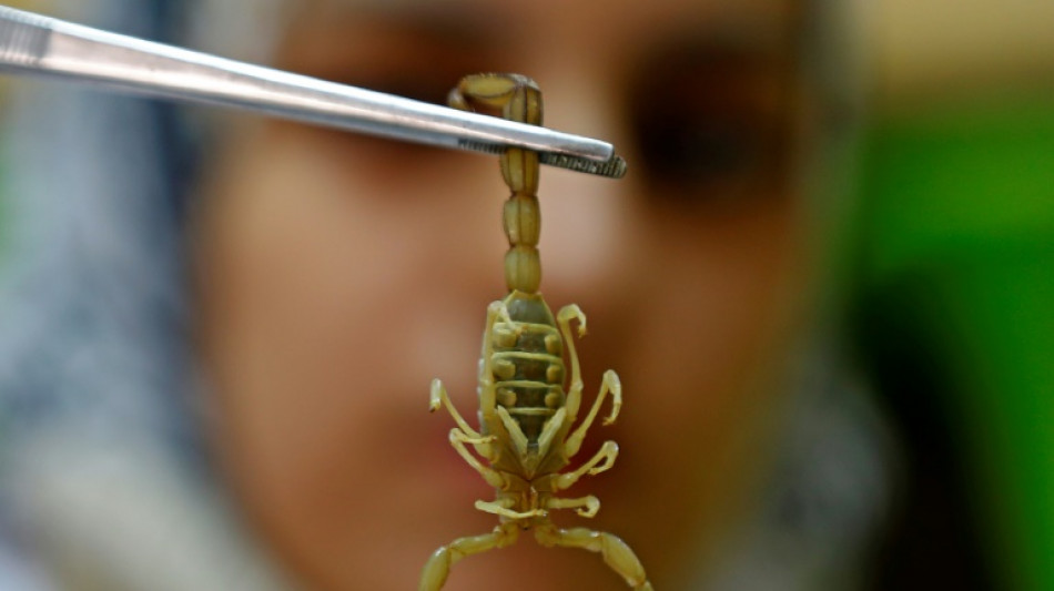 Un estadounidense se declara culpable de tr&aacute;fico de escorpiones