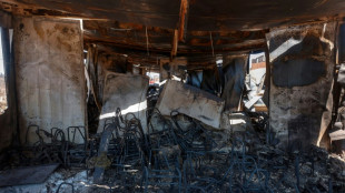 El cambio clim&aacute;tico increment&oacute; las condiciones para los incendios forestales en Chile y Argentina