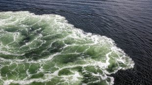 Von Str&ouml;mung erfasst und abgetrieben: Schwimmer stirbt in Ostsee bei Rostock