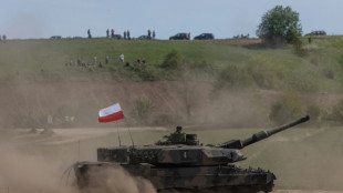 Livraison de chars &agrave; l'Ukraine : la Pologne pr&ecirc;te &agrave; se passer de l'aval de l'Allemagne