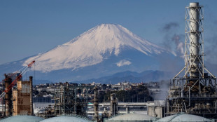 Japans Wirtschaft 2024 nur um 0,1 Prozent gewachsen