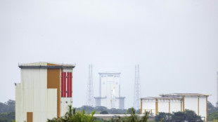 Fusées contre biodiversité: en Guyane, le centre spatial poursuivi pour "atteintes environnementales"