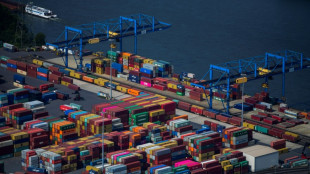 Deutschlands Exporte im Januar gesunken