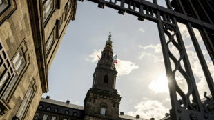 "Ma vie s'est arr&ecirc;t&eacute;e" : au Danemark, l'attente sans fin des candidats &agrave; la nationalit&eacute;