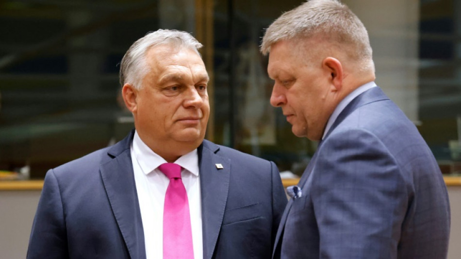 Hungary's Orban says 'link between terrorist acts and migration'
