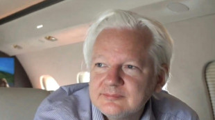 Au Conseil de l'Europe, Assange t&eacute;moigne pour la premi&egrave;re fois depuis sa lib&eacute;ration
