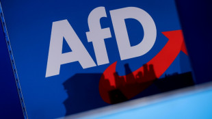 Geldstrafe f&uuml;r bayerischen AfD-Abgeordneten wegen Versto&szlig; gegen Versammlungsgesetz
