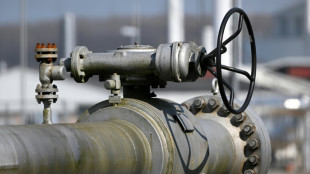 Starke Preissteigerungen bei Energie beeintr&auml;chtigen die Au&szlig;enhandelsbilanz