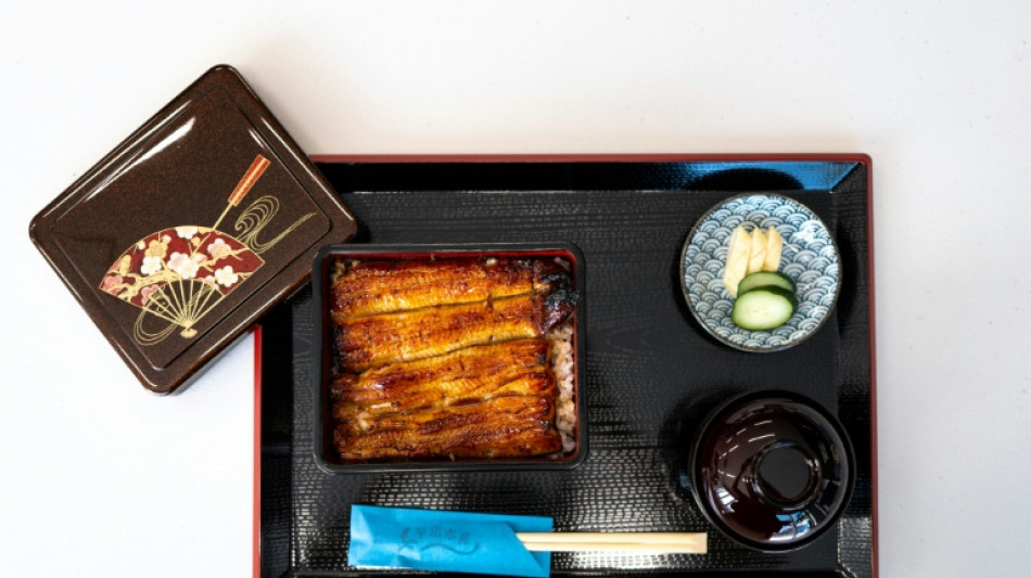 L'anguille, tradition gastronomique japonaise au menu d'un d&eacute;bat mondial sur sa pr&eacute;servation