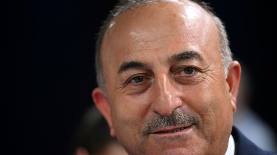 T&uuml;rkei pr&uuml;ft Einhaltung der an Schweden und Finnland gestellten Nato-Bedingungen 