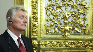 Cremlino, 'Putin esaminer&agrave; proposte di Witkoff, ma molto dipende da Kiev'