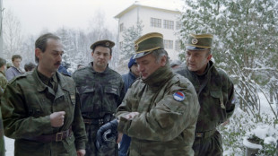 L'ex-chef militaire des Serbes de Bosnie Ratko Mladic est mort &agrave; La Haye