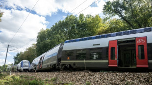 El descarrilamiento de un tren en el norte de Francia deja 44 heridos, uno de gravedad