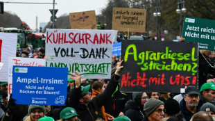 Bauernproteste in mehreren Bundesl&auml;ndern behindern den Verkehr
