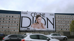 Les concerts de C&eacute;line Dion&nbsp;suscitent un "int&eacute;r&ecirc;t mondial", selon une plateforme de billetterie
