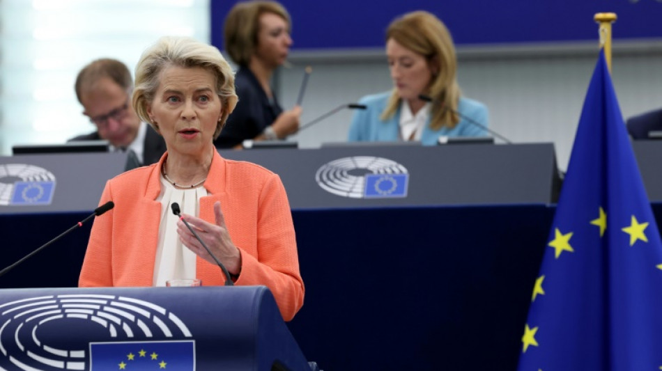 China advierte del impacto negativo de una investigaci&oacute;n de la UE sobre sus autom&oacute;viles